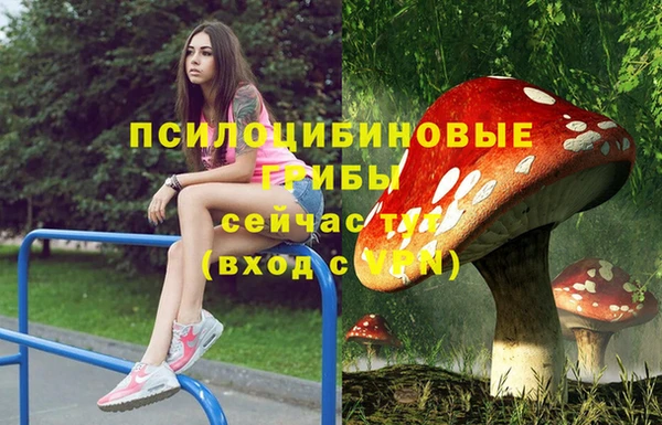 кокс Алексеевка