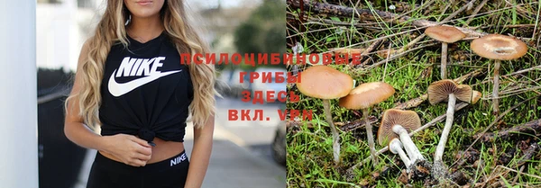 прущие крисы Алзамай
