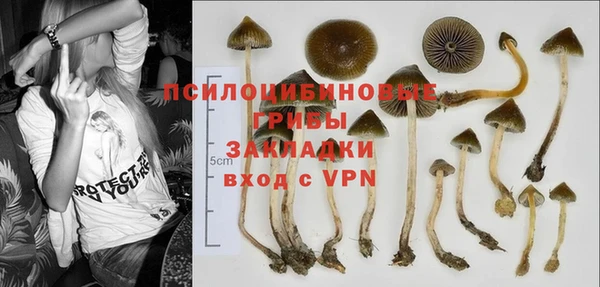 прущие крисы Алзамай